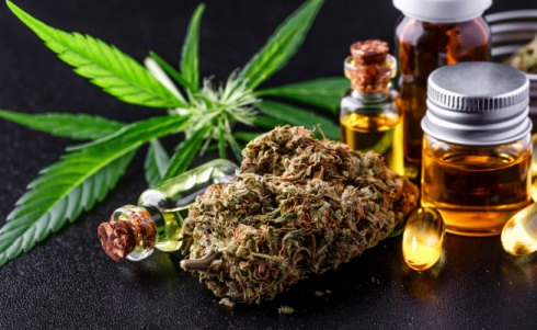 Legalized Marijuana and DOT Regulations: What Contractors Need to Know