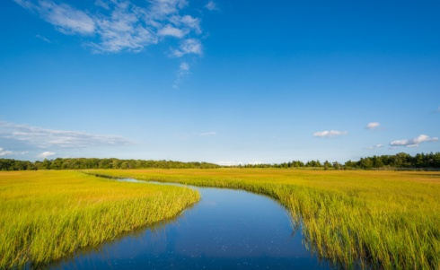 Businesses May Face Challenges in Reauthorization of Wetlands Approvals After NJDEP Decision