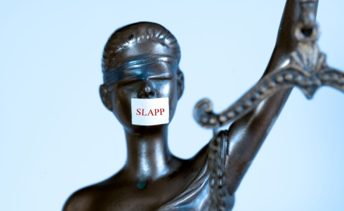 Does Maryland’s Anti-SLAPP Statute Achieve Its Intended Purpose?