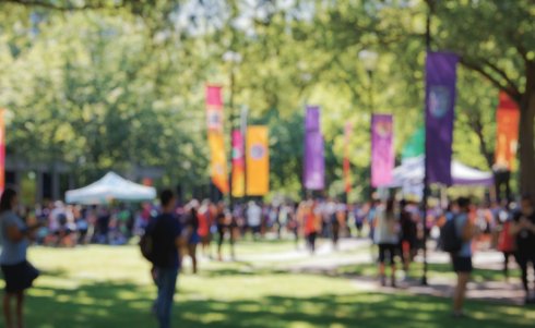 What to Do If You Are Accused of a Title IX Violation in College