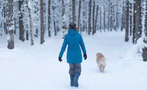 Holiday Harmony for the Sandwich Generation: Boundaries, Delegation, and Self-Care
