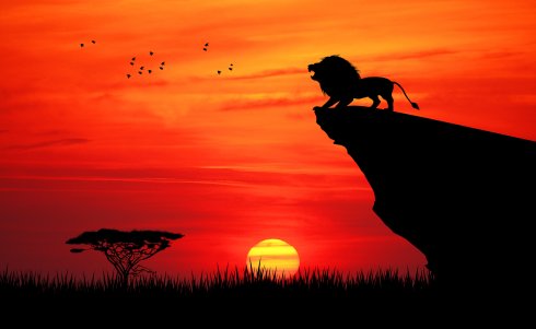 The Lion King Chant Roars Into Federal Court